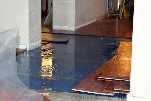 Professional Burst Pipe Cleanup technician working in North East, PA